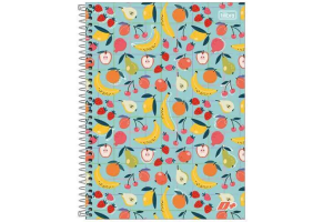 CADERNO CD UNIV TILIB D+ FEM 1 MT 96 FHS