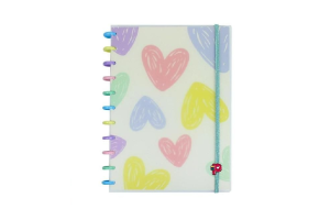 CADERNO POP DISC DECOR MEDIO CAPA:FLORES E AMORES